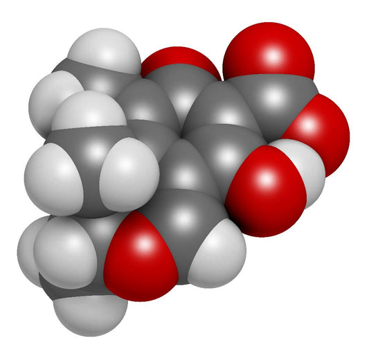 What Science Says About Mycotoxins
