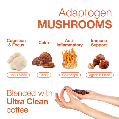 EU Organic Mushroom Extract Coffee