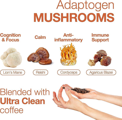 EU Organic Mushroom Extract Decaf Coffee
