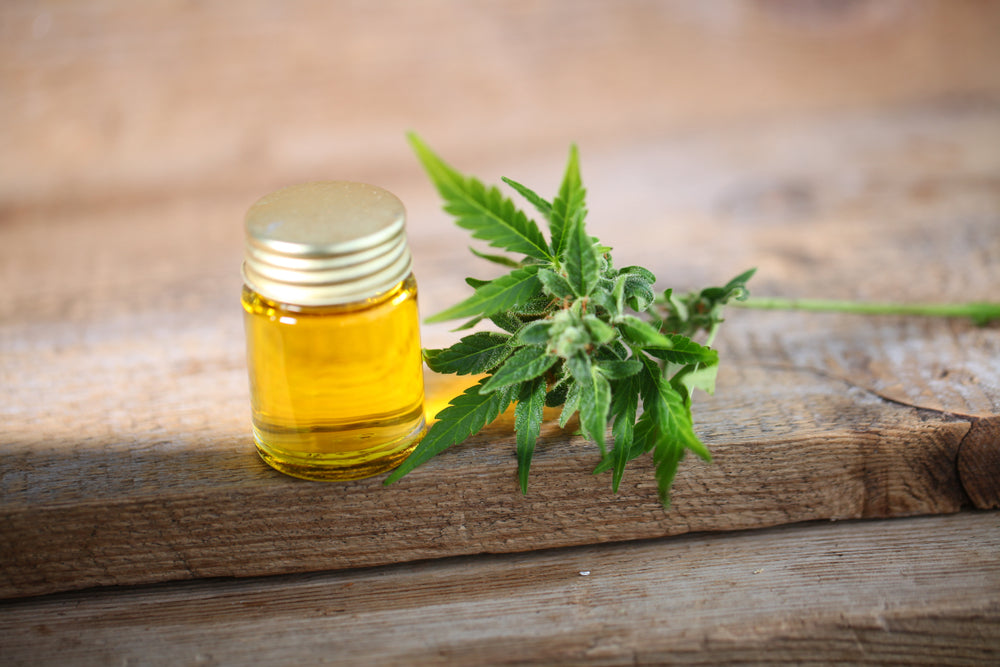 Why You Should Consider Taking CBD
