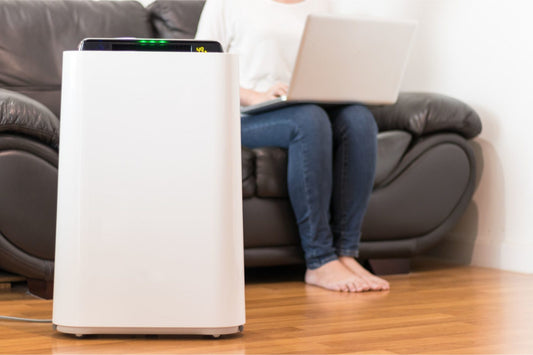 Should You Purchase a Home Air Purifier?