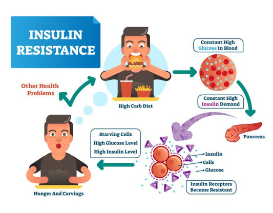 Insulin Resistance 101 & 2 Things You can do to Avoid It