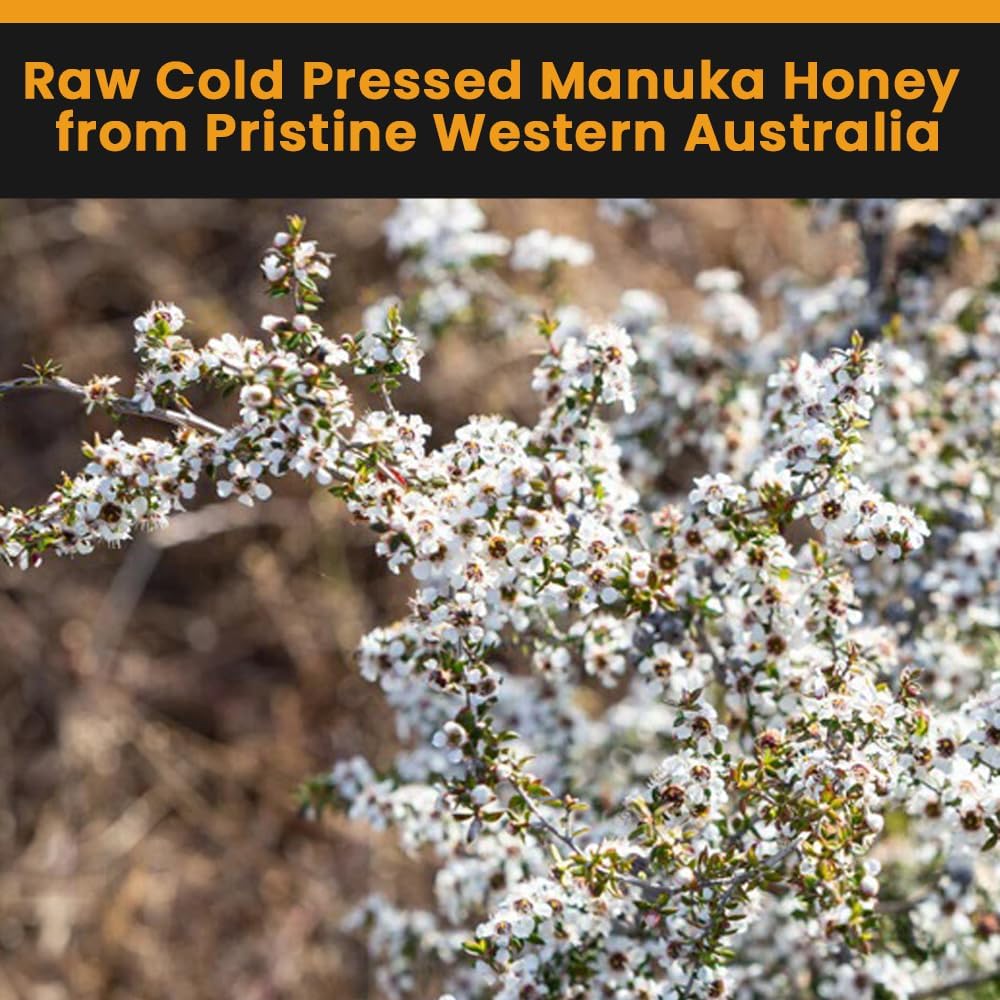 HONEY FOR LIFE Australian Monofloral Manuka Honey MGO 400+