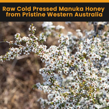 HONEY FOR LIFE Australian Monofloral Manuka Honey MGO 400+