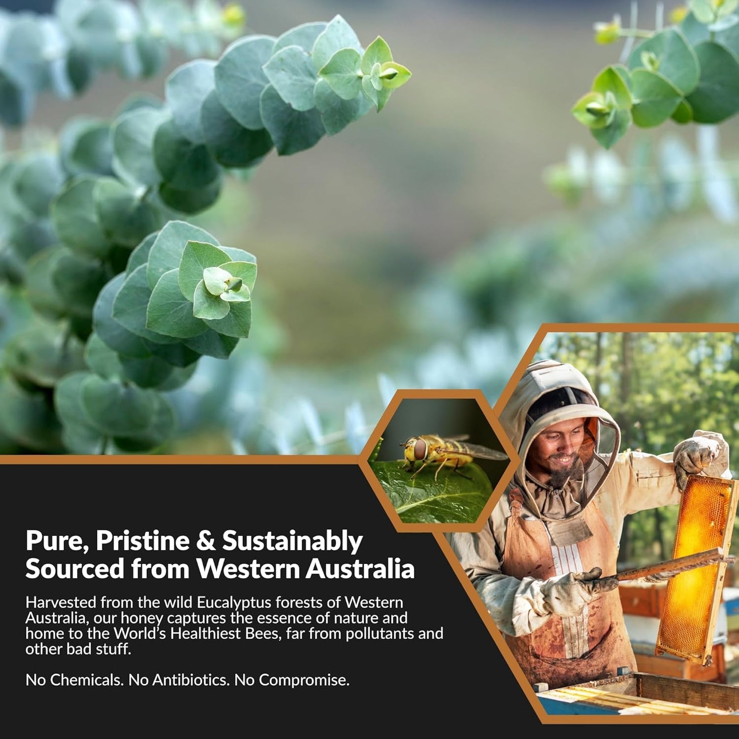 Super Cal Active Eucalypt Raw Honey TA10+ | MGO 250+ Equivalent | 500g