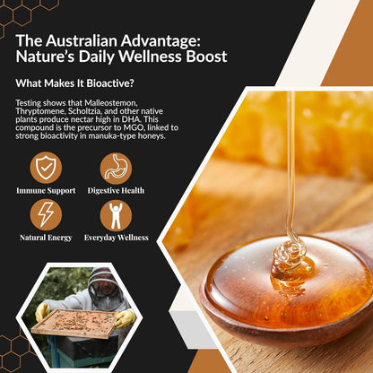 Super Cal Desert Gold Raw Honey MGO 200+ – Premium Western Australian Honey – Cold Pressed & Unpasteurised – 500g