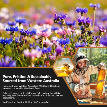 Super Cal Active Wildflower Raw Honey TA10+ MGO 250+ – Premium Australian Medical Grade Honey – Cold Pressed & Unpasteurised – 500g