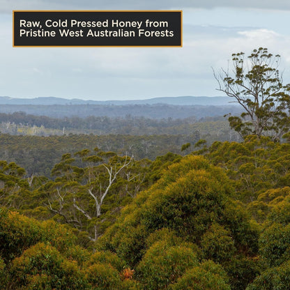 Strong Active Honey TA20+ / MGO 800+ Raw Australian Honey | Stronger Than Manuka | Cold Pressed & Unpasteurised | 260g