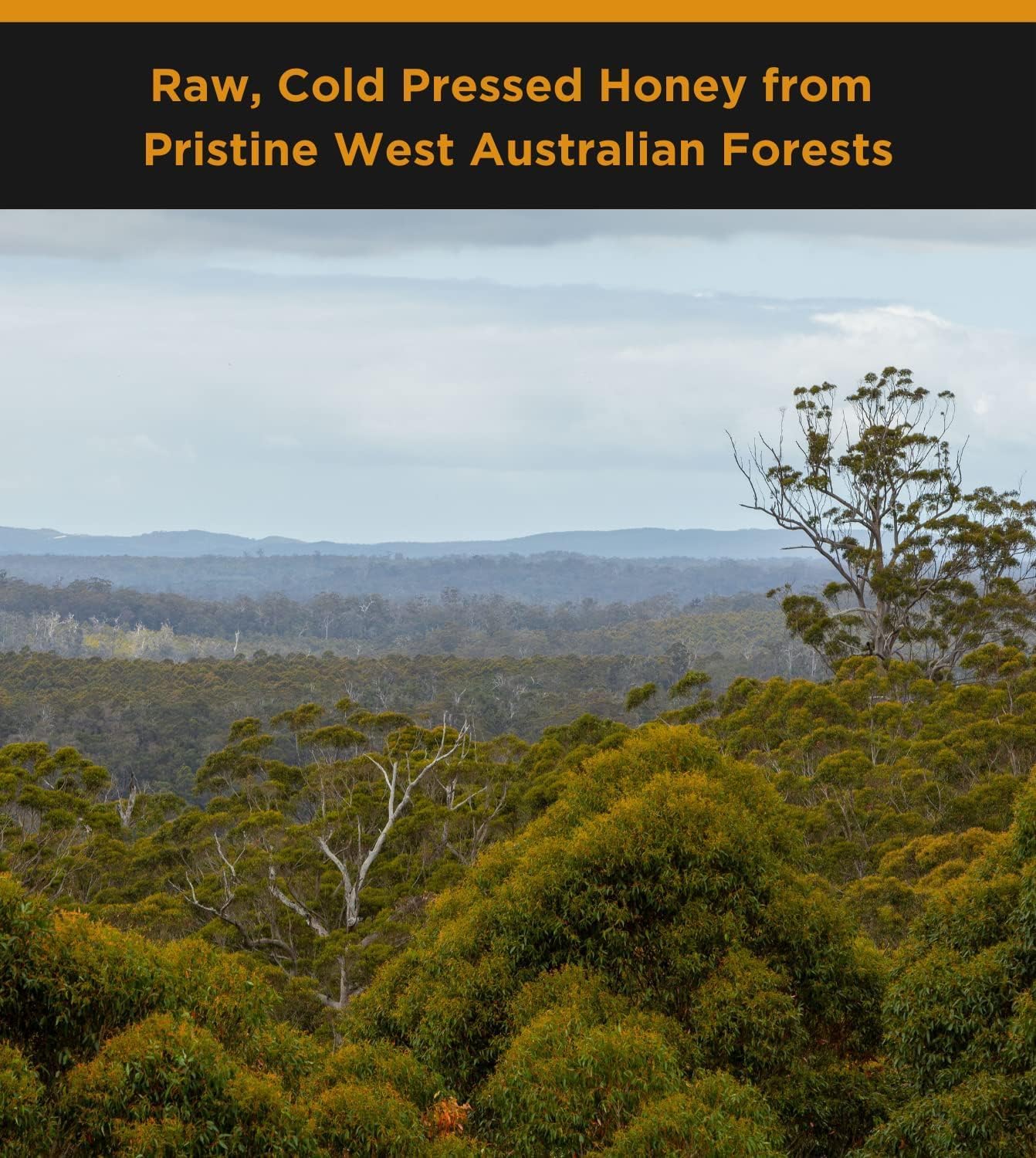 Honey For Life Super Jarrah TA50+ / MGO 1600+ Raw Australian Honey – Stronger Than Manuka Honey