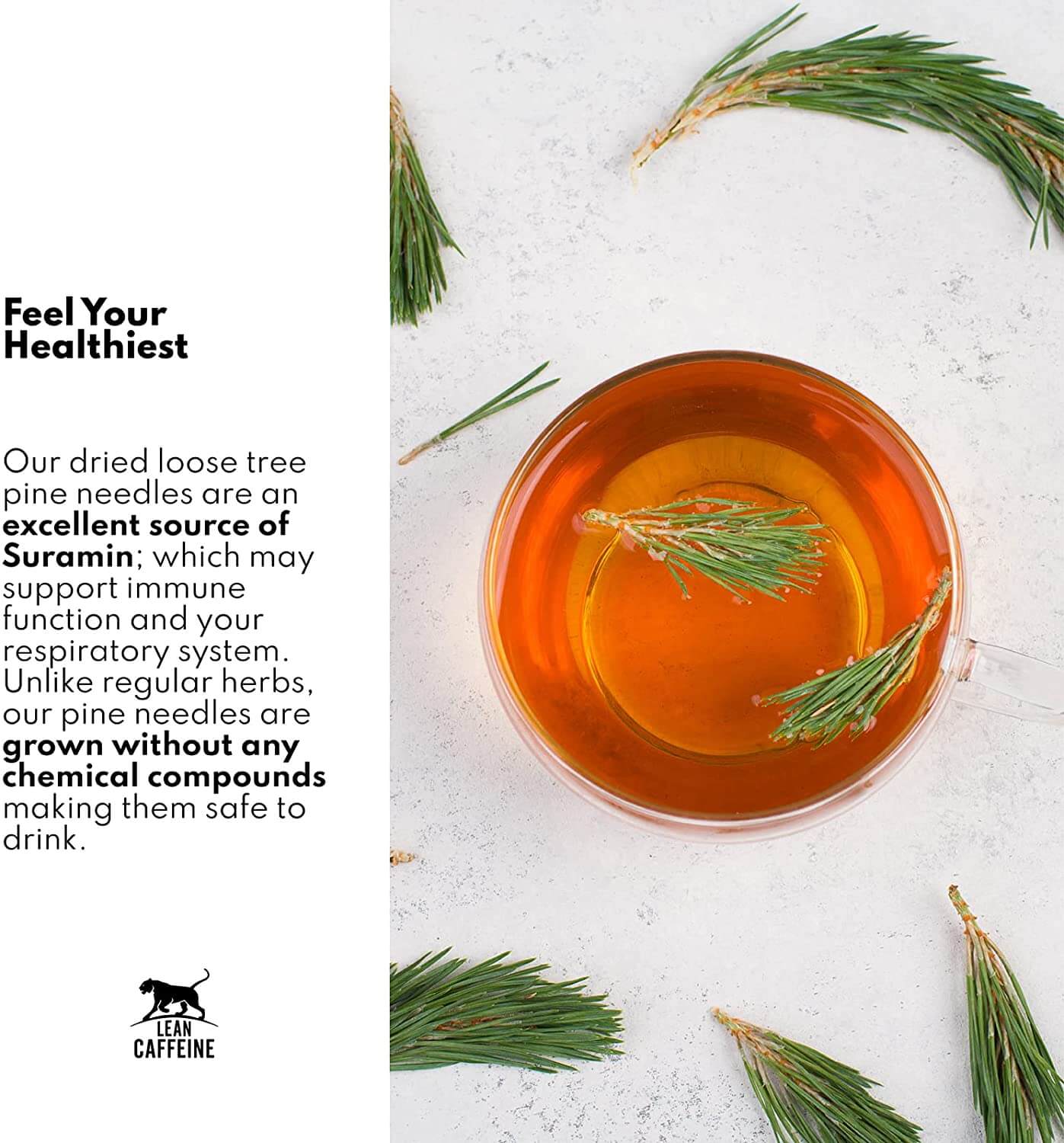 Pine Needle Tea Health